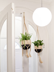 Plant Hanger - Bitan (Set of 2)